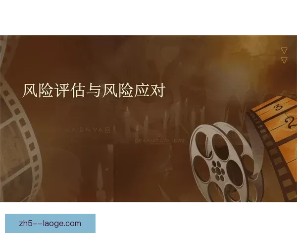 聚焦国家队伤停消息的风险评估与应对策略全面建议体系化分析方案